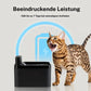 Smart kattfontän med rörelsesensor