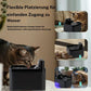Smart kattfontän med rörelsesensor