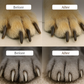 🐾 50% RABATT! ✂️ Kloklippare för husdjur med LED‑ljus – Säkert klippande av djurklor