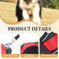🐕 50% RABATT! 🔦 Dragfri Hundsele med Koppel & LED-halsband – Lindrar Tryck, Mjukt Nylon & Perfekt För Nattliga Promenader Och Träning 🌙