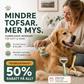 Dubbelsidig pälsborste för husdjur – För tovor och lösa hårstrån | 50 % rabatt